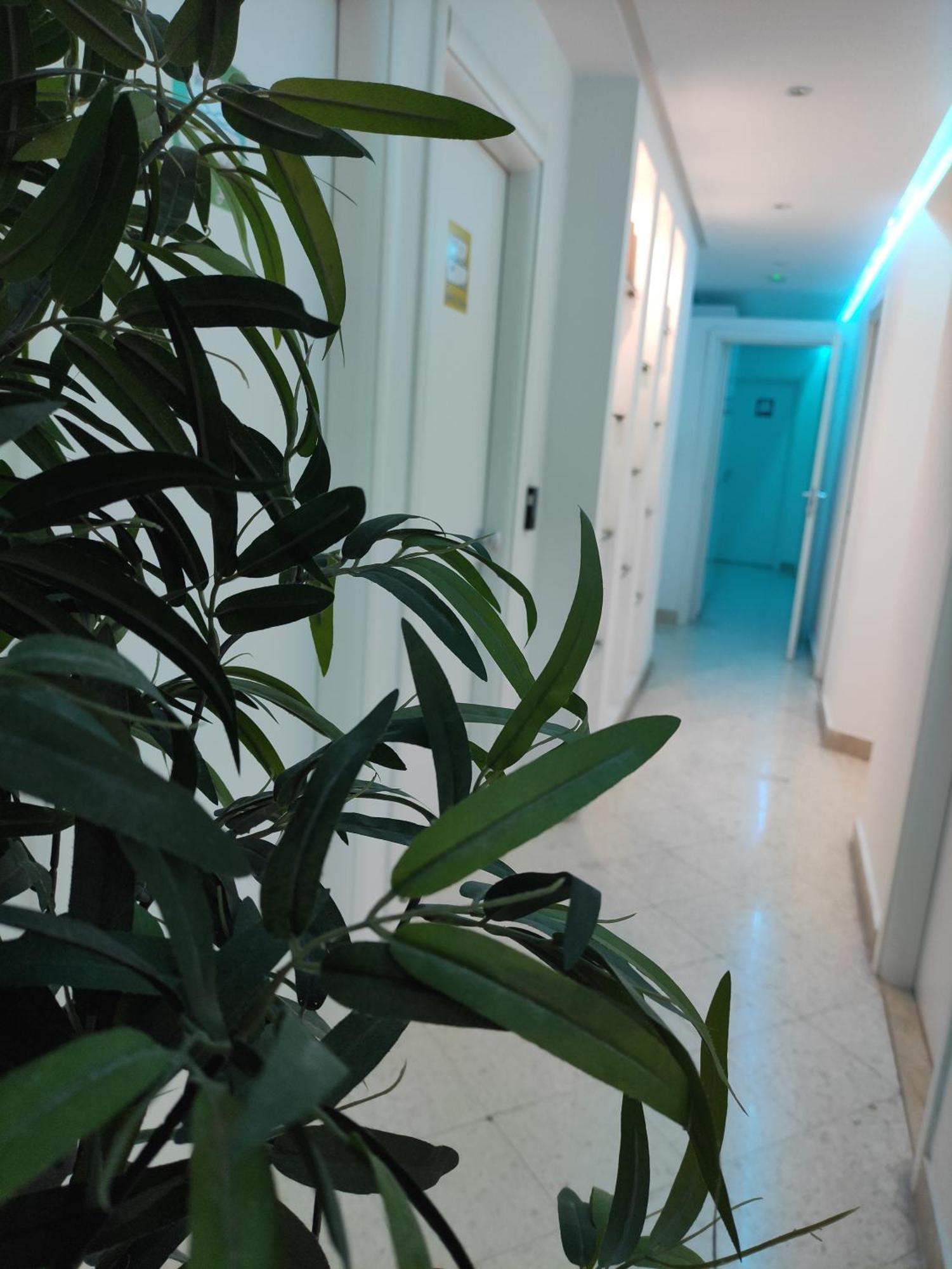 Palermo Central B&B Kültér fotó